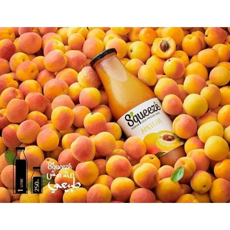 Squeeze Apricot Juice by Fruit Republic