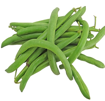 FRESH GREEN BEANS BY SNOW FRESH EGYPT | Beans, Peas & Carrots | #1 B2B ...