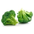 Fresh Broccoli by Egyptian Export Center - HBMade in Egypt