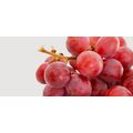 Fresh Crimson Grapes by Egypt Garden, изображение 2 Fresh Crimson Grapes by Egypt Garden, изображение 2