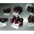 Fresh Red onions by Fruit Kingdom, 3 imageMade in Egypt