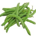 Fresh Green Beans by Nour For FoodMade in Egypt