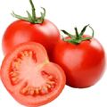 Fresh Tomatoes by Farmex For ExportMade in Egypt