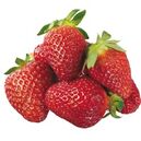Egypt Strawberry | Fresh Strawberry