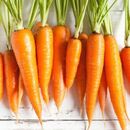 Fresh Carrots by AGROFOOD, 3 imageMade in Egypt