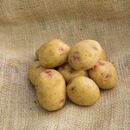 Fresh Sorrento Potatoes by AGROFOODMade in Egypt
