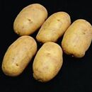 Fresh Valor Potatoes by AGROFOOD, 3 imageMade in Egypt