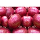 Fresh Red Onion by GoudaMade in Egypt