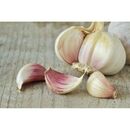 Fresh Garlic by Gouda, 2 imageMade in Egypt