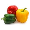 Fresh Colored Capsicum by Green Tiba, 2 imageMade in Egypt