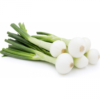 Fresh Spring onions by Queen Fresh ProduceMade in Egypt