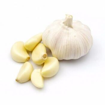 Fresh Garlic by Green TibaMade in Egypt