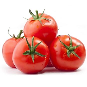 Fresh Beef Tomatoes by Egypt GardenMade in Egypt