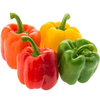 GEO Farms Fresh Bell Pepper- Capsicum by GEO EXPORTINGMade in Egypt