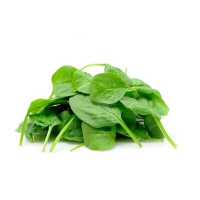 Fresh Spinach by Egyptian Export Center - HBMade in Egypt