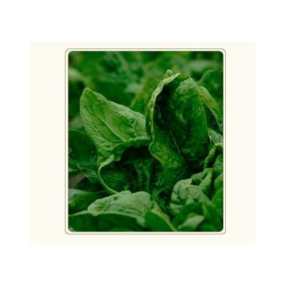 Frozen Spinach leaves by Silva, 2 image