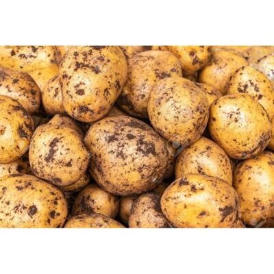 fresh Potatoes by Green Tiba, 2 imageMade in Egypt