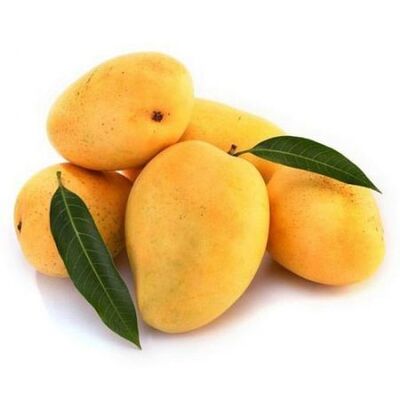 Fresh Mango by Green TibaMade in Egypt