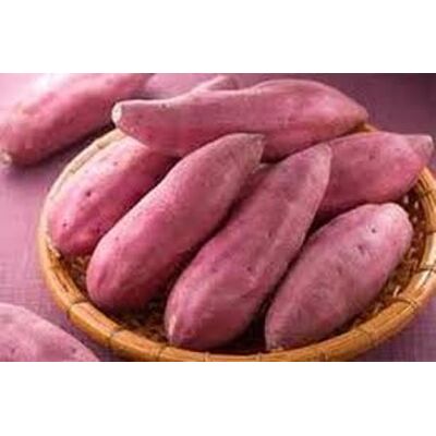 Fresh Sweet Potatoes by Queen Fresh ProduceMade in Egypt