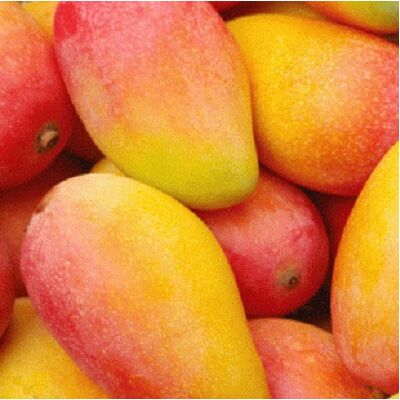 Fresh Mango by GoudaMade in Egypt