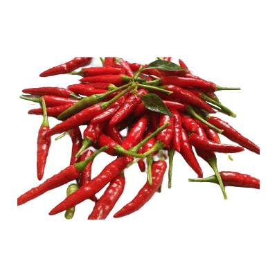 Pickled Dragon Cayenne Pepper by Gouda