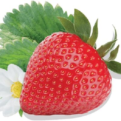 Fresh Strawberry by Dakahlia COMade in Egypt