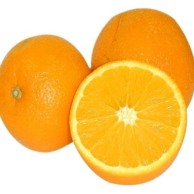 Navel Orange Egyptian Fresh Citrus best Price & High Quality