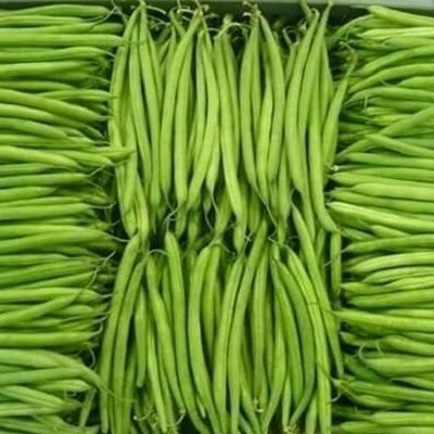 Fresh Green Beans by Fruit Kingdom