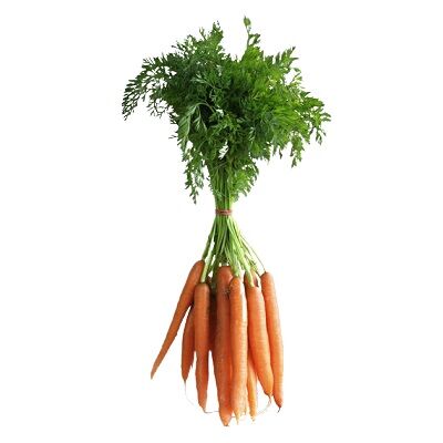 Fresh Carrots by AGROVALLEYMade in Egypt