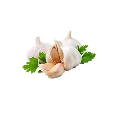 Fresh Garlic by Nour For FoodMade in Egypt