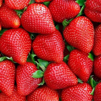 Fresh Strawberry by AGROVALLEYMade in Egypt