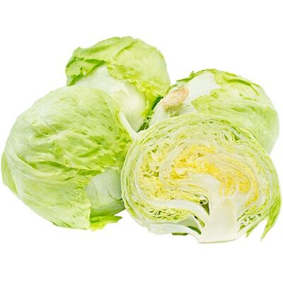 Fresh Lettuce by Egitra Co.