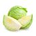 Fresh Cabbage by Egyptian Export Center - HBMade in Egypt