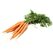Fresh Carrots by Egyptian Export Center - HBMade in Egypt