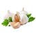 Fresh Garlic by Snow Fresh Egypt Fresh Garlic by Snow Fresh Egypt