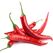 Fresh Hot Chili Pepper by Snow Fresh EgyptMade in Egypt