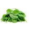 Fresh Spinach by Egyptian Export Center - HBMade in Egypt