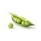 Fresh Peas by Egyptian Export Center - HBMade in Egypt