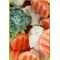 Frozen Mixed Vegetables by Vegi FarmMade in Egypt