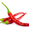Fresh Hot Chilies by Egypt GardenMade in Egypt