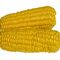 Frozen Sweet Corn by Snow Fresh EgyptMade in Egypt