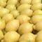 Fresh Adalia Lemon by Fruit KingdomMade in Egypt