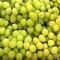 GEO GRAPES Fresh Grapes Prime Seedless by GEO EXPORTINGMade in Egypt