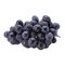 GEO GRAPES Fresh Autumn Royal Grapes by GEO EXPORTINGMade in Egypt