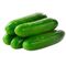 Fresh Cucumber by Egitra Co.Made in Egypt