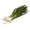 Fresh Spring Onions by Egitra Co.Made in Egypt